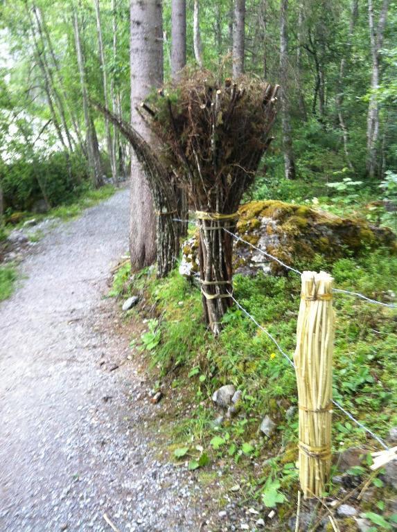 Gletscherschlucht Ξενοδοχείο Γκρίντελβαλντ Εξωτερικό φωτογραφία